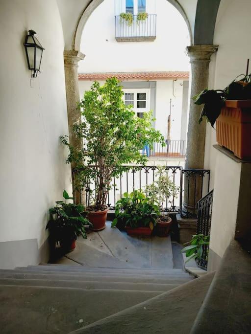 Apartament Nilo 28 House Neapol Zewnętrze zdjęcie